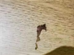 -无锡华怡明都大酒店