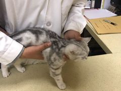 -艾贝尔宠物医院·狂犬免疫点(江山金象城店)