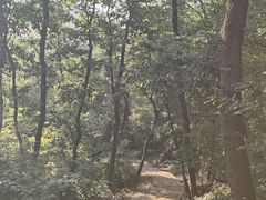 -头陀岭景区