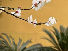 -太平天国侍王府