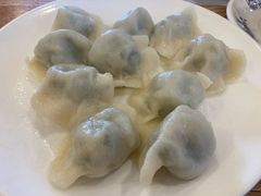 茴香鲜肉饺子-长城东北菜(新港西路店)