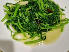 -天鹅到家·保姆月嫂育儿嫂(总店)