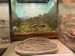 -辽宁古生物博物馆