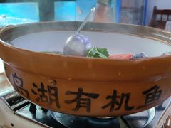 -全乐鱼馆·淳牌有机鱼直营店