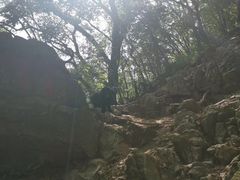 -紫金山山顶公园