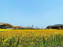 -中国天府农业博览园