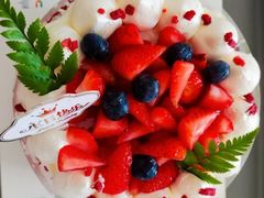 -维尔纳斯·生日蛋糕动物奶油冰淇淋蛋糕(人大店)