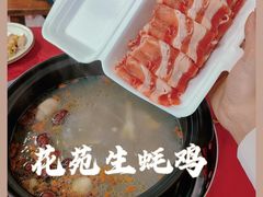 -花苑美食横琴生蚝火锅(拱北粤华路店)