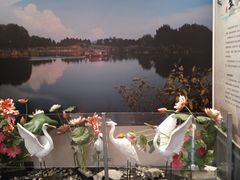 -苏州太湖国家湿地公园