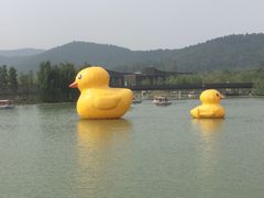 -杨国福麻辣烫(观前街店)