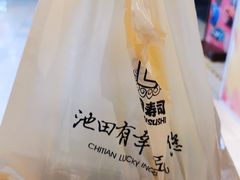 -池田寿司·新鲜现做(朝阳大悦城店)