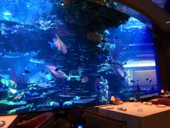 -迪拜帆船酒店海底餐厅