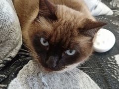 -About Bistro關於·泰式家庭料理