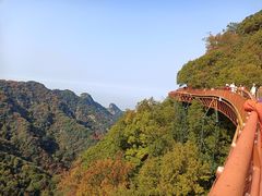 -少华山国家森林公园