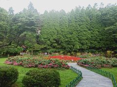 -庐山风景区花径公园