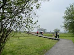 -盘龙城国家考古遗址公园