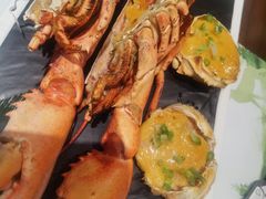 -黑松白鹿(新活馆店)