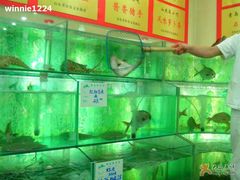 鱼缸-海岛渔村大酒店(云霄路店)