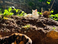 -四门塔风景区