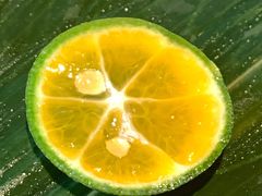 -江户前寿司(好运街店)