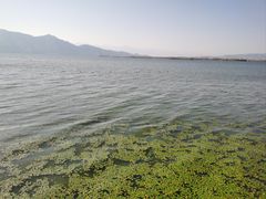 -西昌邛海湿地