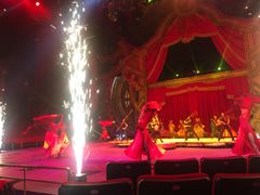 -珠海横琴长隆《卡卡虎奇遇记》