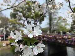-苏州上方山国家森林公园
