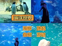 -威海华夏城景区