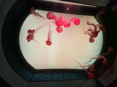 -沈阳海洋探索中心