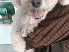 -瑞派福兴宠物医院犬猫全科·骨科·中西医结合(河东店)