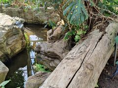 -北京植物园-展览温室