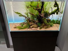 -ADA自然水景世界