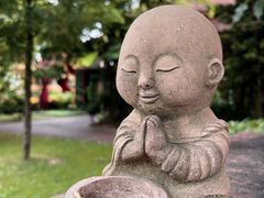 -中国科学院西双版纳热带植物园