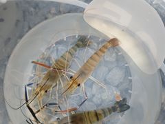 -DGE季风钓虾营地·团建·聚会
