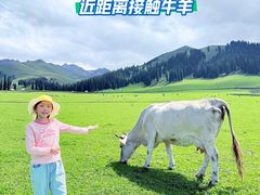 -新疆那拉提国家旅游度假区