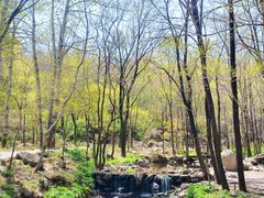 -玉渡山自然风景区