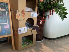 -御宝贝·A梦猫科宠物医院(国际猫友好医院)