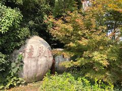 -东平国家森林公园