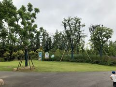 -上海长兴岛郊野公园