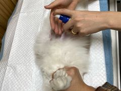 -御宝贝24h宠物医院·转诊中心·CT核磁血透中心(厦门总院)