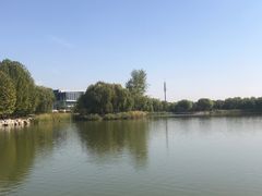 -大兴滨河森林公园