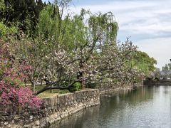 -无锡蠡湖国家湿地公园-蠡园
