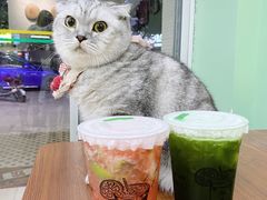 -林香柠·柠檬茶