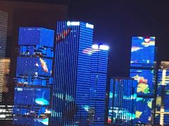 -深圳星河丽思卡尔顿酒店