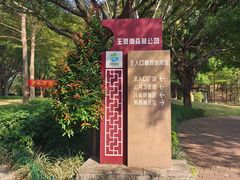 -王借岗森林公园