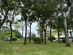 -白鹭洲公园