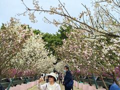 -观澜湖生态运动公社