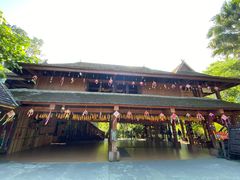 -西双版纳原始森林公园