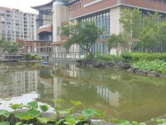 -梧桐人家中国太平国际健康颐养社区