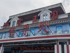 -芜湖新华联大白鲸海洋公园